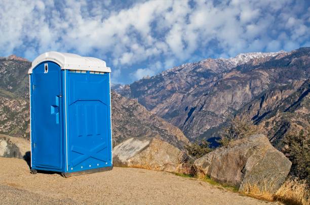 Best Sanitation services for porta potties  in Dewitt, MI